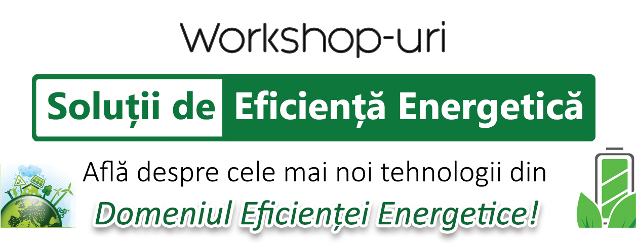 Workshop Solutii de Eficienta Energetica - imagine continut